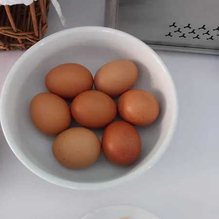 Hotel Alberta Cesenatico