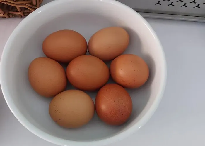 Hotel Alberta Cesenatico